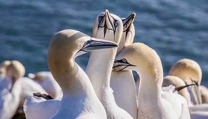 九游电子竞技-《绝地求生》新武器上线：性能测试与实战应用，绝地求生即将迎来新武器