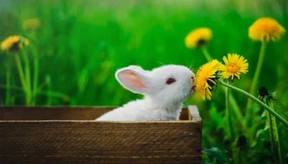 九游电子竞技-《绝地求生》新武器上线：性能测试与实战应用，绝地求生即将迎来新武器