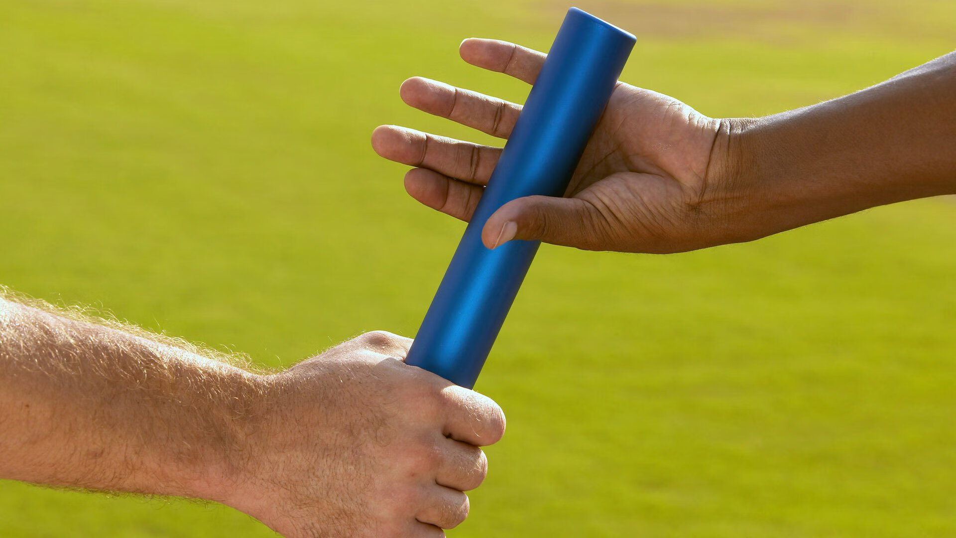 _野生动植物保护跑:运动与环保双赢_,野生动植物保护宣传海报