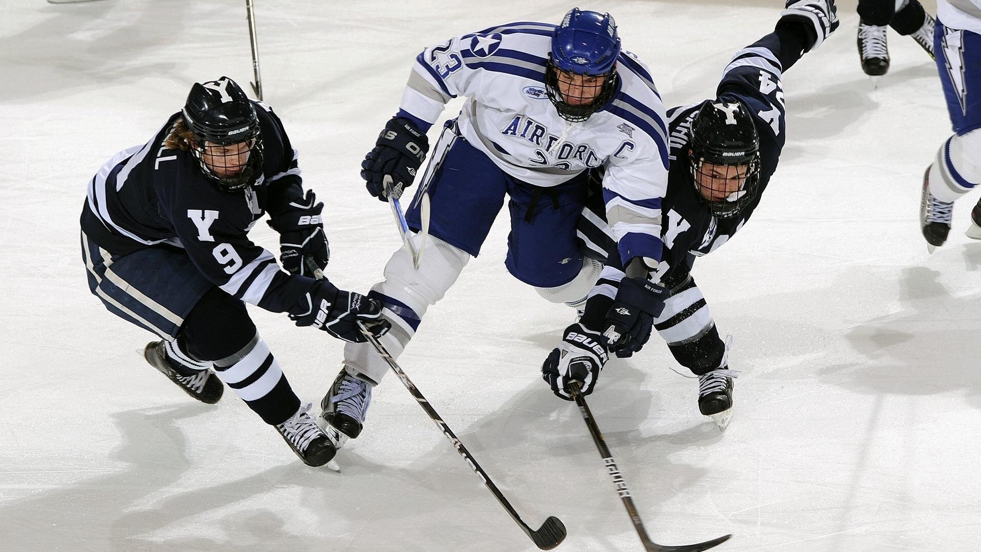 _野生动植物保护跑:运动与环保双赢_,野生动植物保护宣传海报